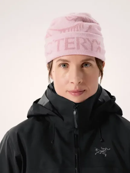 Arcteryx Gorro Bird Word (4)