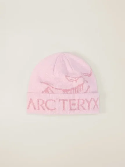 Arcteryx Gorro Bird Word (5)