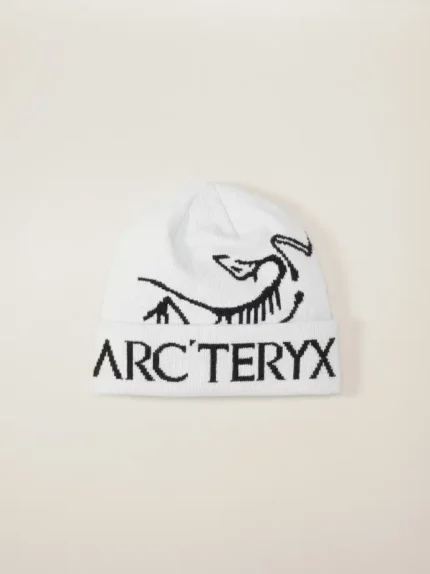 Arcteryx Gorro Bird Word Orca (5)