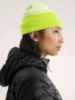 Arcteryx Gorro Shincha Mantis (3)